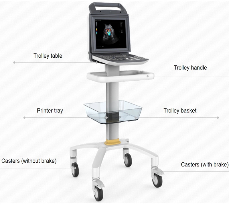 Portable Full Digital Portable 4D Color Doppler Ultrasound Scanner Machine