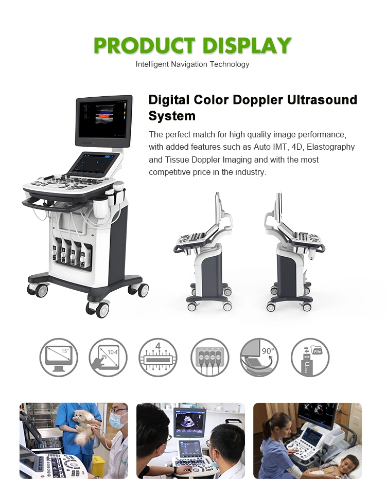 3D 4D Full Digital Trolley Color Doppler Plus Ultrasound Scanner Trolley Ultrasound